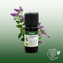 Peppermint Organic Essential Oil