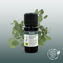 Eucalyptus Radiata Organic Essential Oil