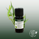 Eucalyptus Globulus Organic Essential Oil