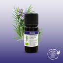 Rosemary Cineole Organic Essential Oil