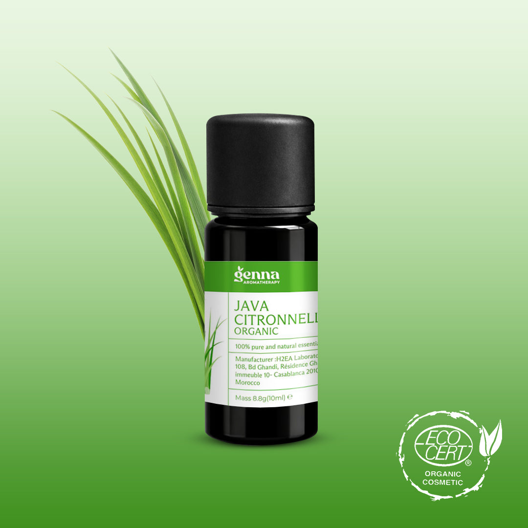 Ravintsara Organic Essential Oil