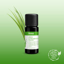 Ravintsara Organic Essential Oil