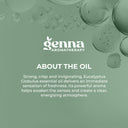 Eucalyptus Globulus Organic Essential Oil