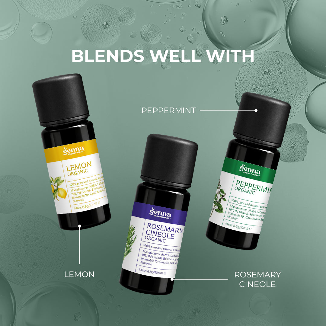 Eucalyptus Globulus Organic Essential Oil