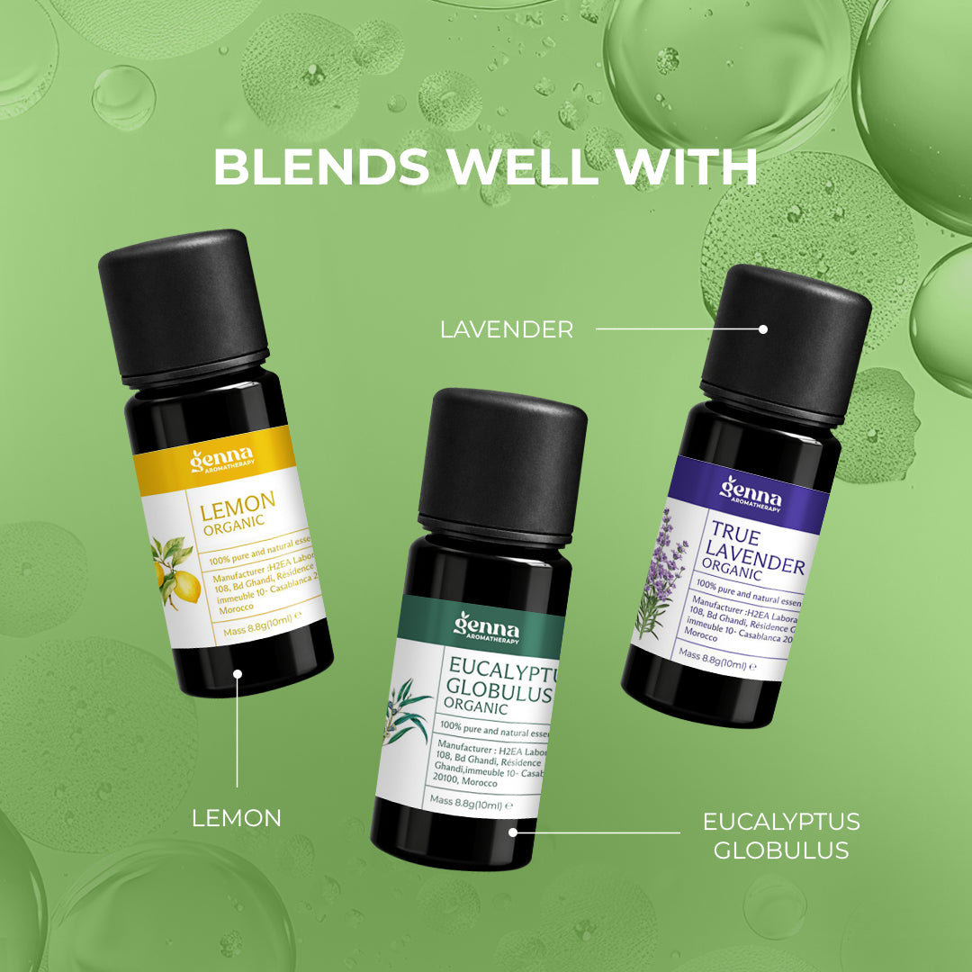 Ravintsara Organic Essential Oil