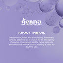 Rosemary Cineole Organic Essential Oil