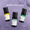 Rosemary Cineole Organic Essential Oil